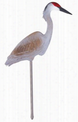 Flambeau Sandhill Crane Decoy