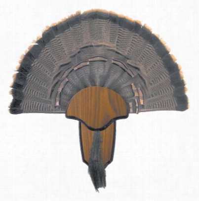 Hunter's Specialties Turkey Tail And Beard Mount Kit