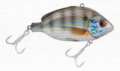 Livetarget Pinfish Loples Rattlebait - Natural/matte - 3-3/5