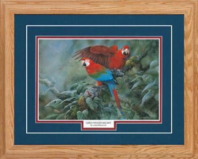 Northern Promotions Framed Art - Green-wimged Macaws By Gamini Ratnavaria