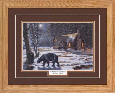 Northern Promotions Framed Art - Sweet Phenomenon By Mary Pettis