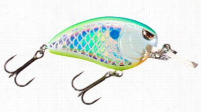 Spro Little John Md Crankbait - Citrus Shad