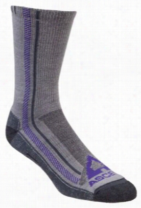 Rise Hiker Crew Socks For Lladies - Gray/purlpe - L