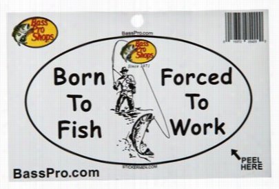 Born To Fish Ovaldecal