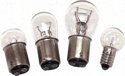 Light Bulb Assortment