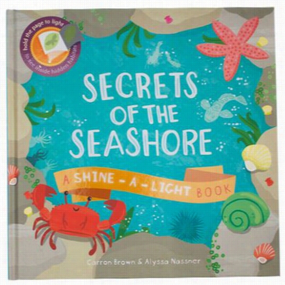 Secrets Of The Seashore Book For Kids By Carron Brown