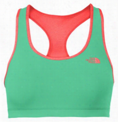 The Notth Face Bounce-b-gone Reversible Sports Bra For Ladies - Billiard Gre En - M