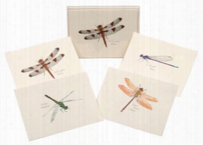 Assorted Dragonfly And Damselfy Notecards With Envelopes Boxed Set