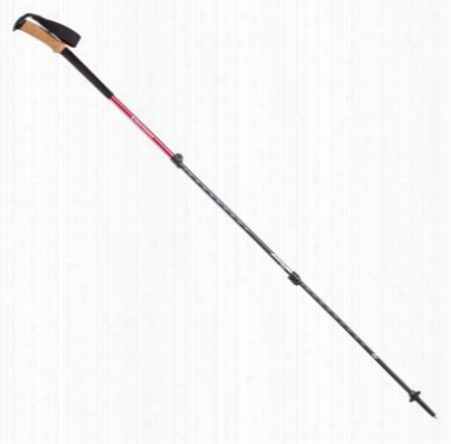 Black Diamond Trail Ergo Cork Trekking Poles - Fire Red