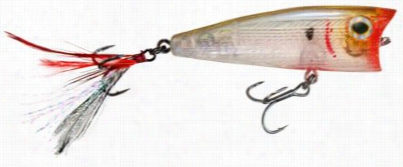 Boyd Duckett Series Popper - 3/8 O.z - Bloody Ghost Minnow