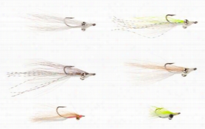 Clouser Saltwatee Skinny Water Minnowfly Assortment