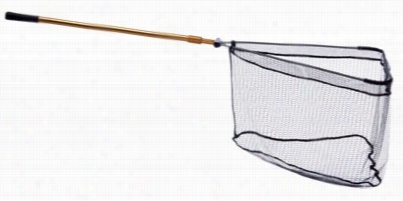 Gold Series Folding Landing Net - 24' Handle