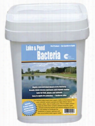Outdoor Water Solutions Lake & Amp; Pond Bacteria