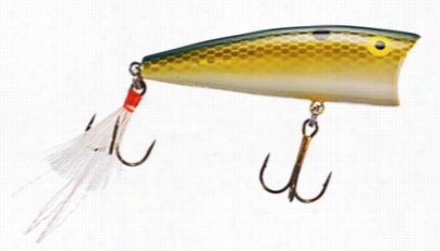 Rebel Magnum Pop-r Topwater Entice - Foxy Shad