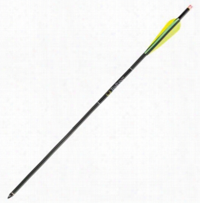 Tenpooint Pro Eilte Arrows With Omni Brite Nocks