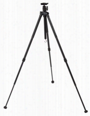 Vortex Summit Ss Tripod Violin 