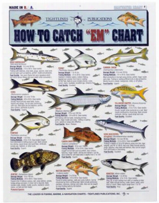 Waterproof Charts - How To Catch 'em - Central & Southern Coasts