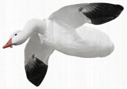 White Rock Decoys Deck Bos S Lfying Snow Goose Decoy