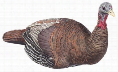 Avian-x Lcd Laydown Hen Turkey Decoy