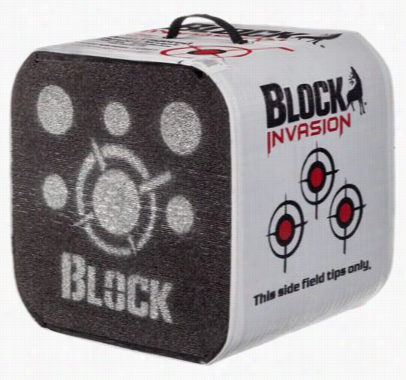 Block Invasion Archery Target - 16 Lbs.