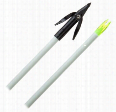 Cajun Archery Waarhead Point With Complette Arrow Set - White - Fiberglass Shaft