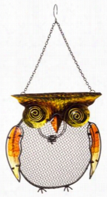 Evergreen Owl Ensnare  Bird Feeder