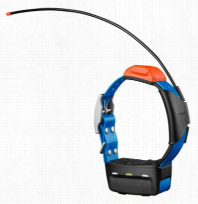 Garmin  T5 Dog Tracking Collar