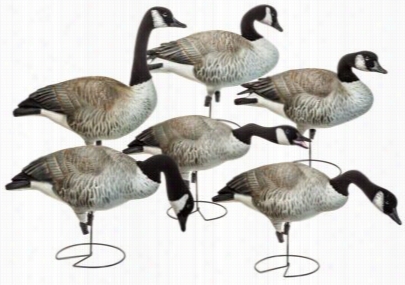 Greenhead Gear Trading Grade Full Body Honkers Goose Decoy Harvester Pack