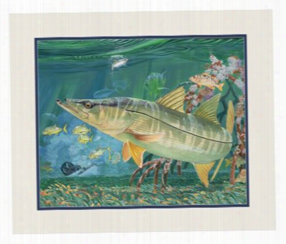 Guy Harvey Douublematted Mini Print - Th Grove