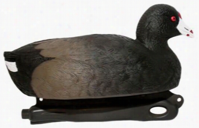 Coarse Core Decoys Coot Decoys