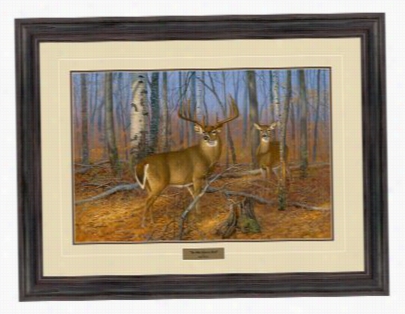 Hayden Lambson Framed Artwork - The Milo Hanson Buck