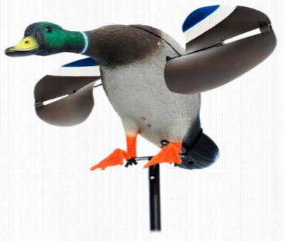 Prosperous Duc K Lucky Junior Mallard Drake Decoy