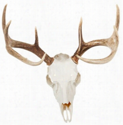 Mountain Mike's Reproductions Sull Master Antler Kit