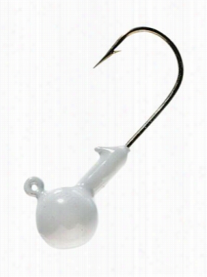 Pro-tec Powder Ppaints For Lures Or Jigs - White