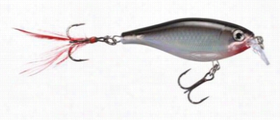 Rapala X-rap Shd Shllow - 2--1/2" - Islver