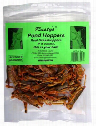 Rusty's Pond Hoppers Real Grasshoppers