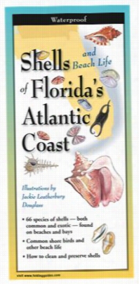 Shells And Beach Life Of Florida's Atlantic Coast Laminatted Folddin G Mentor Byb Y Jackie Leatherbury Douglass