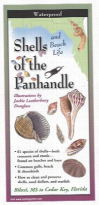 Shells And Beach Life Of The Florida Panhandle Laminated Foldding Guide In Proportion To Jackie Leatherbury Douglas S