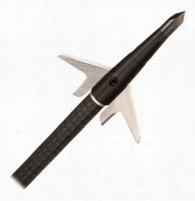 Swhacker 2' Cut Broadheads - 13/4 '