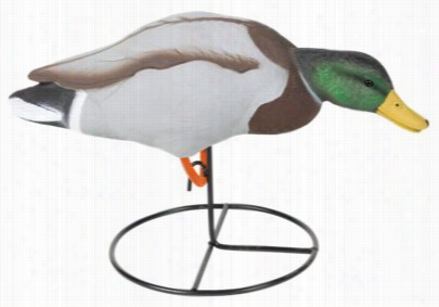 Tanglefree Pro Series Mallard Filled Body Feeder Duck Decoys