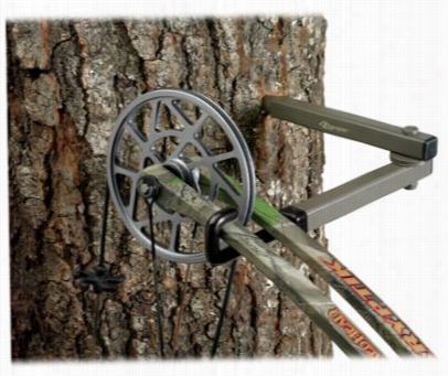 Team Realtree E-z Hanger -  13