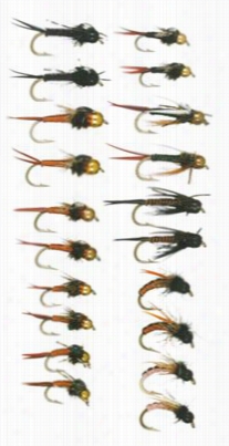 Whiye River Fly Shop  20piece Copper Body Nymph Assortment