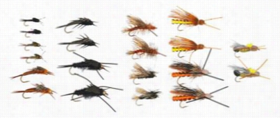 White Rievr Fly Shop 20-pisce Stone  Fly Animated Existence Cycle Variety Of Sorts