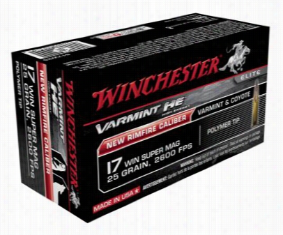 Winchester Varmint He .17 Super Mag Rimfire Ammo -25 Grain