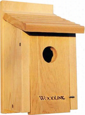 Woodlink Bluebird House