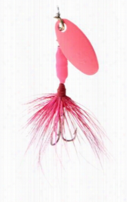 Worden's Oriiginal Rooster Tail - 1/24 Oz. - Pink Fluorescent