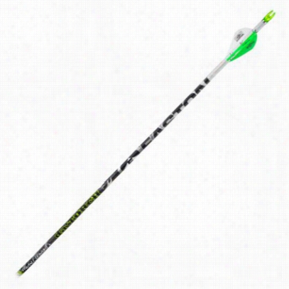 Easton Da Torch Carbon Hunting Arrows - Size 330