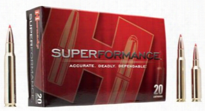 Hornady Superformance Sst Bullets - .243 Winchestter - 95 Grains