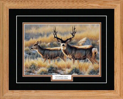 Northern Promotions Framed Art - Stepping Out By Cynthie Fisher