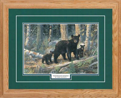 Northren Promotions Framed Art - Woodland Lessons By Terry Doughty